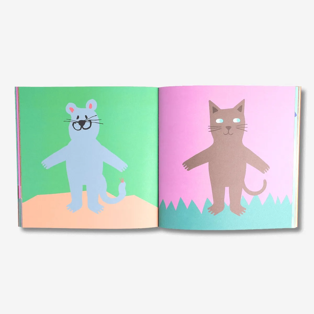 Activity book