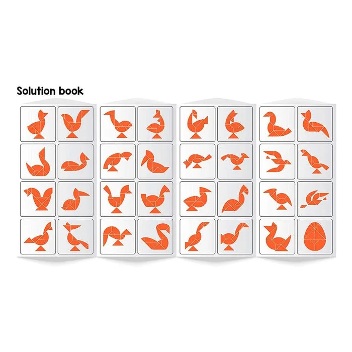 Brain Booster Type 3 (junior) - 56 puzzles designed to boost intelligence - with Magnetic Shapes, Magnetic Board, Puzzle Book and Solution Book