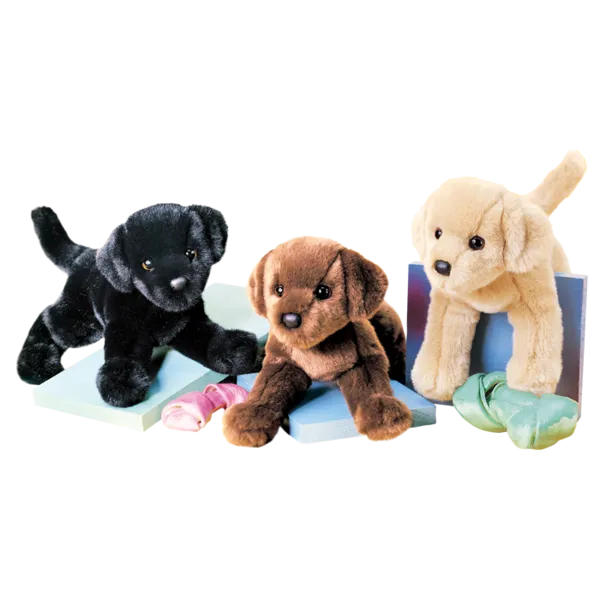 Douglas C.C. Bean Chocolate Lab 12"