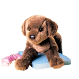 Douglas C.C. Bean Chocolate Lab 12"