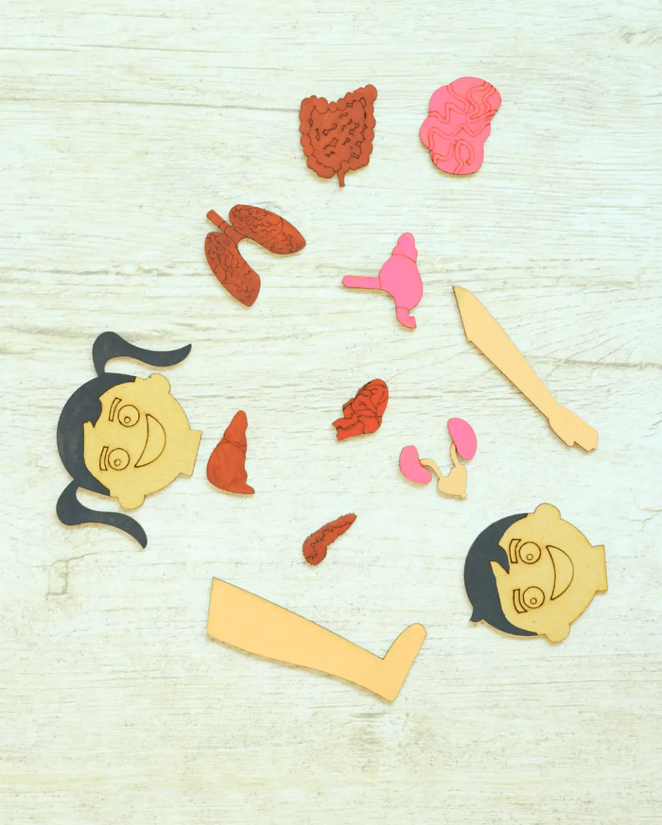 Earthy Tweens Human Body Anatomy Puzzle Set