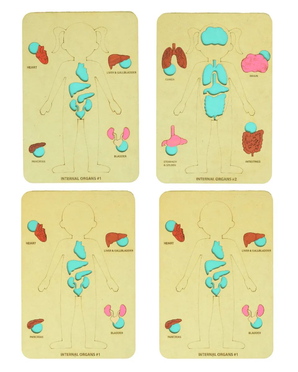 Earthy Tweens Human Body Anatomy Puzzle Set