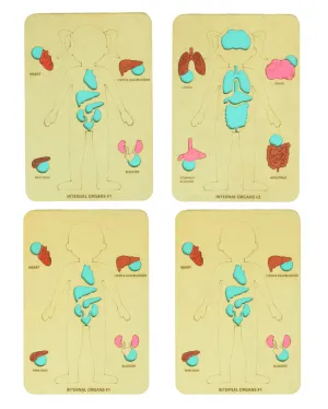 Earthy Tweens Human Body Anatomy Puzzle Set
